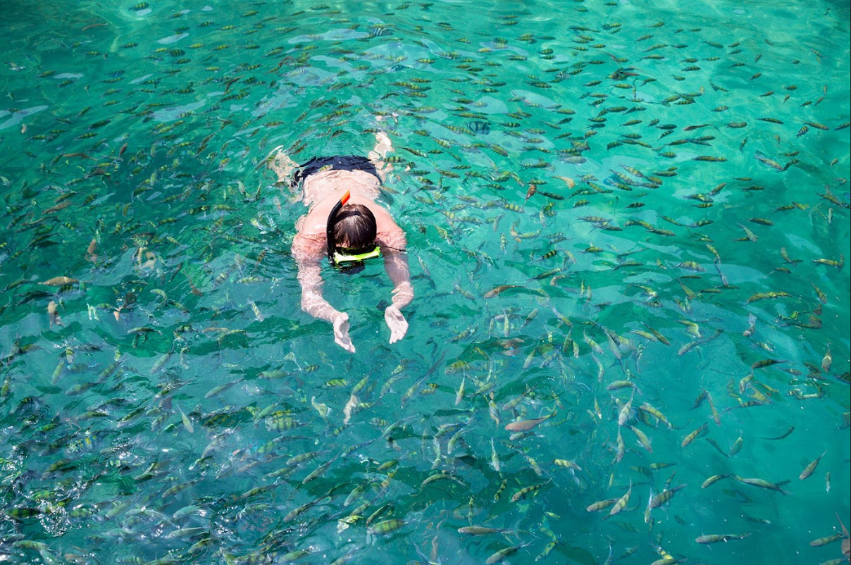 PhiPhi Islands